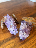 Two Bunches of Amethyst Grapes