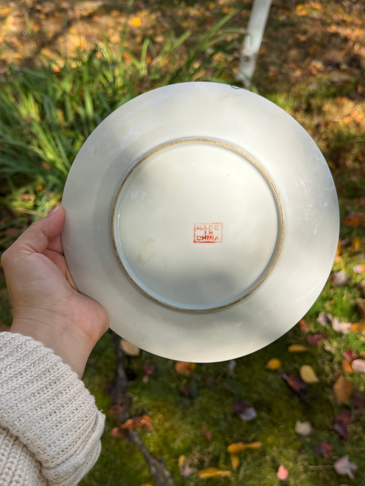 Bokchoy Plate 8.5”