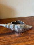 Shell Planter