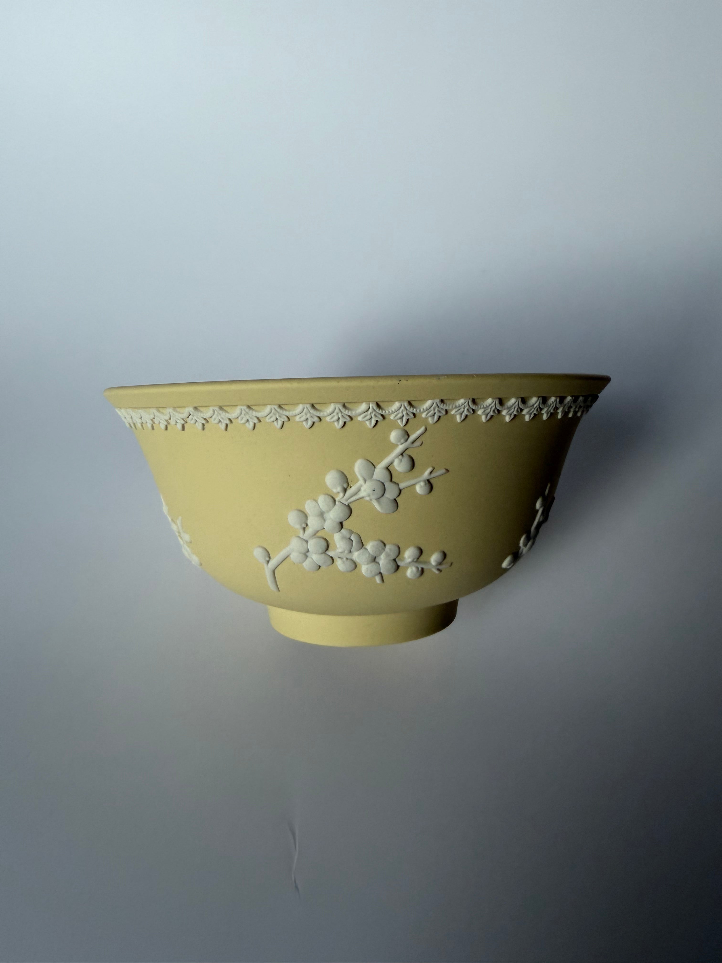 Primrose Wedgwood Bowl