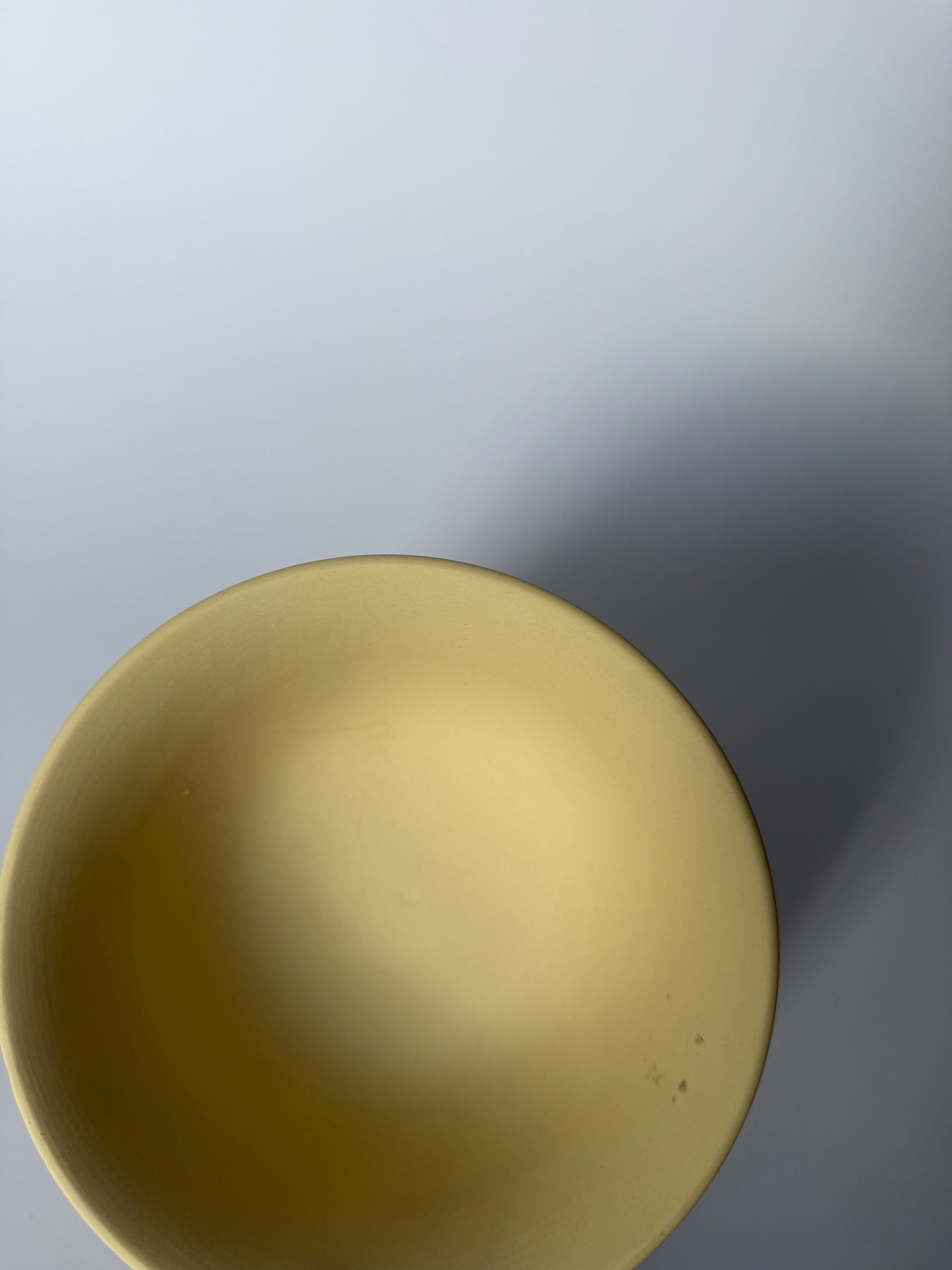 Primrose Wedgwood Bowl