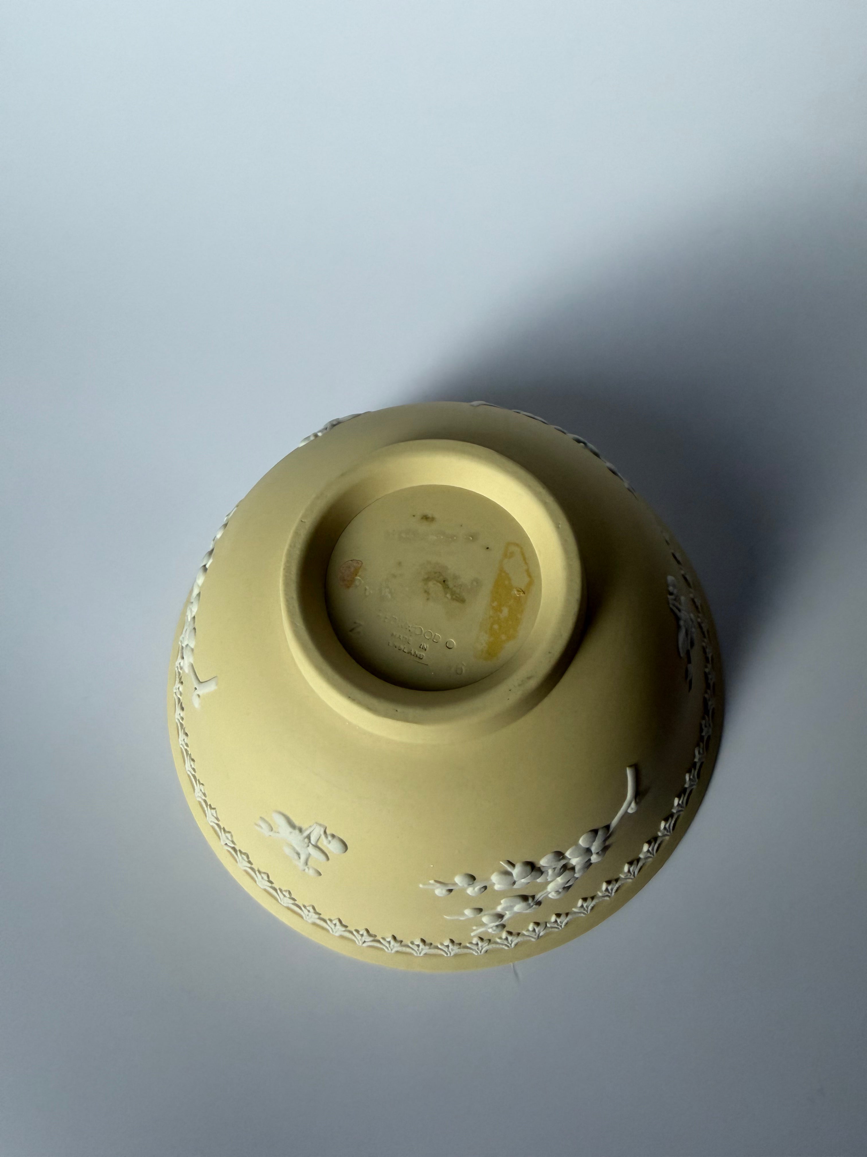 Primrose Wedgwood Bowl